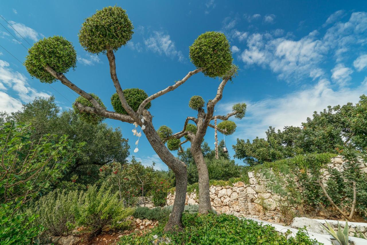 Askos Stone Villa - The Island Panorama Ajos Nikolaos Zewnętrze zdjęcie